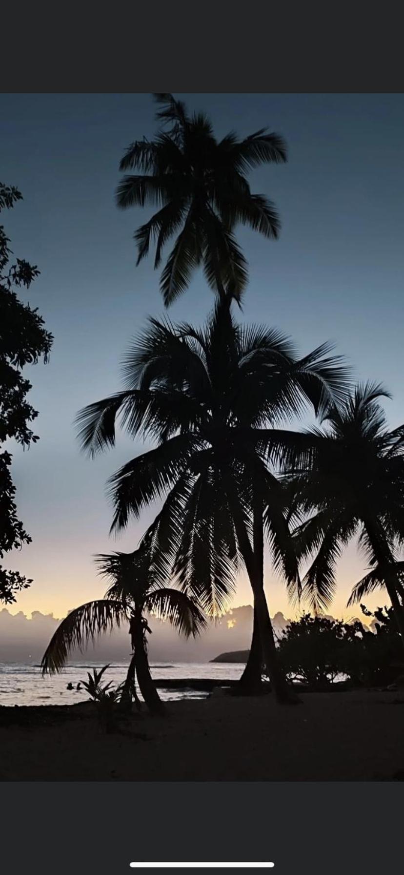 Au Petit Noni Le Gosier (Grande-Terre) Exterior foto